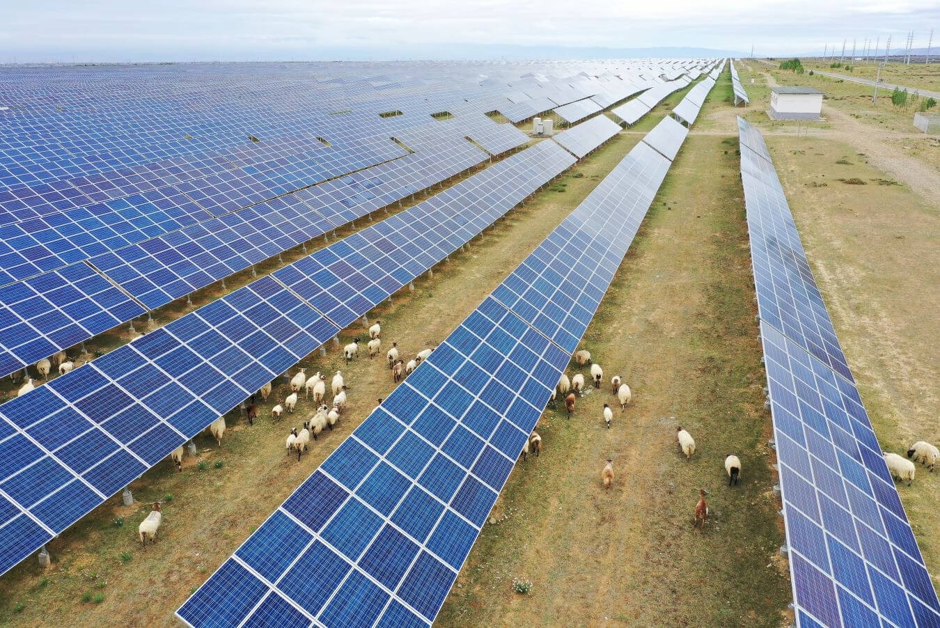 Grace Solar