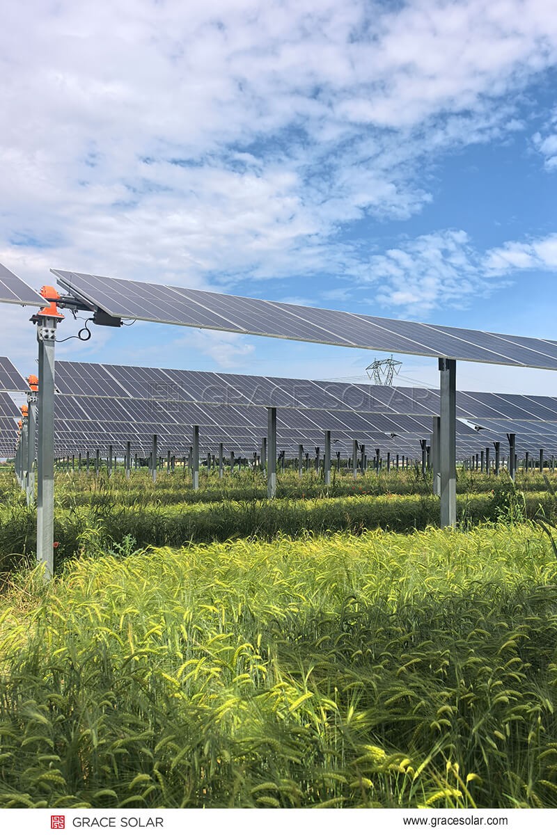 Grace Solar